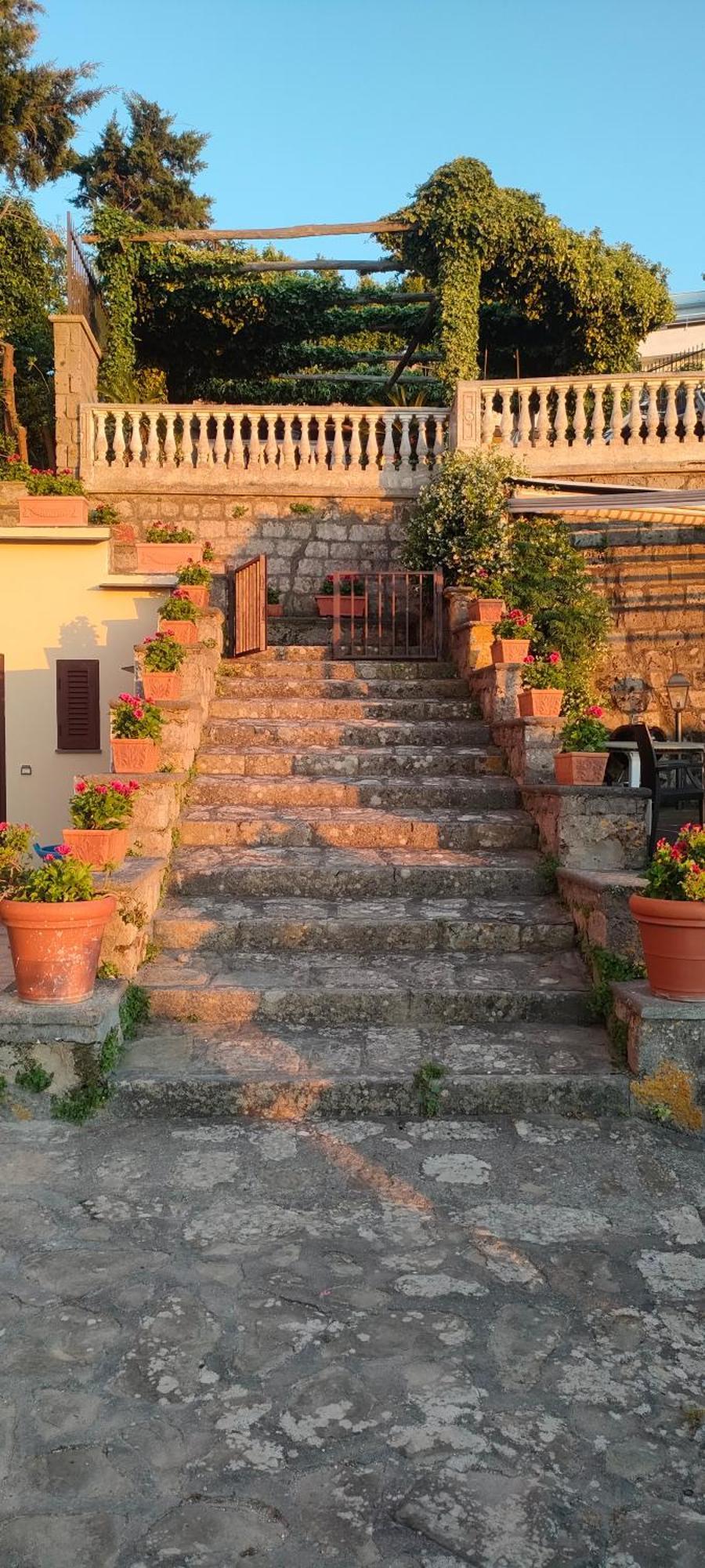 Collywood Villa Piano di Sorrento Bagian luar foto