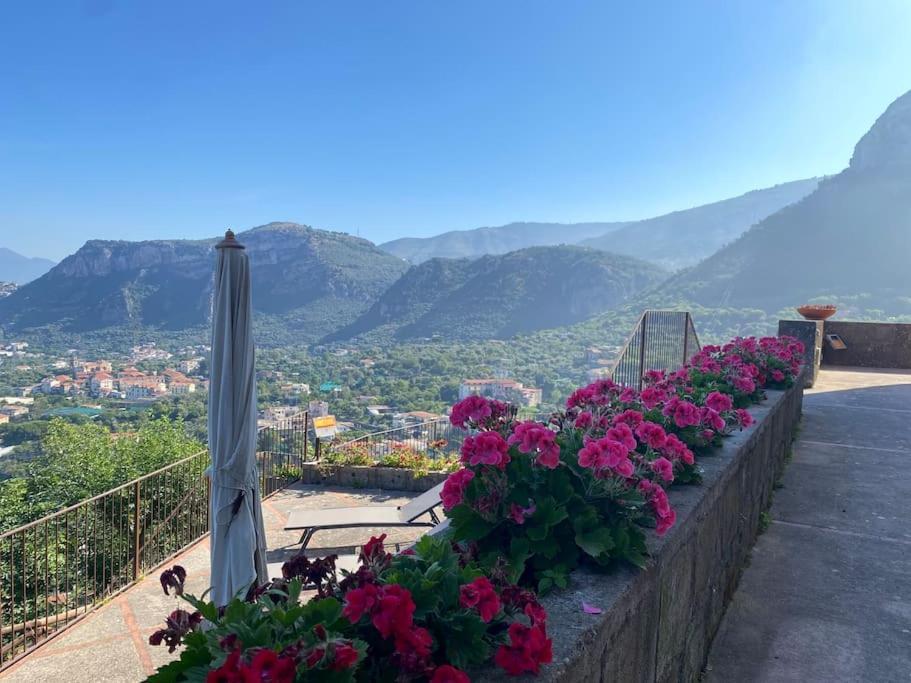Collywood Villa Piano di Sorrento Bagian luar foto